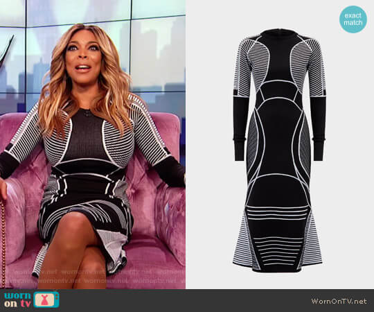 Defining Lines Knit dress by Versace worn by Wendy Williams on The Wendy Williams Show