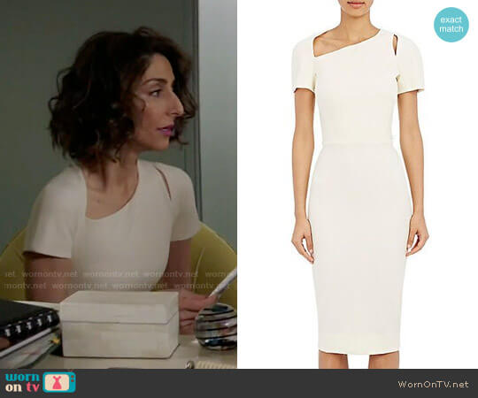 Victoria Beckham Cutout Sheath Dress worn by Delia (Necar Zadegan) on Girlfriends Guide to Divorce