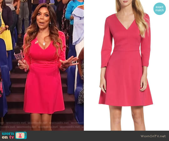 WornOnTV: Wendy’s pink v-neck fit and flare dress on The Wendy Williams ...