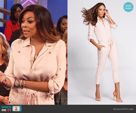 Denim Jumpsuit by Gabrielle Union for New York & Co worn by Wendy Williams on The Wendy Williams Show