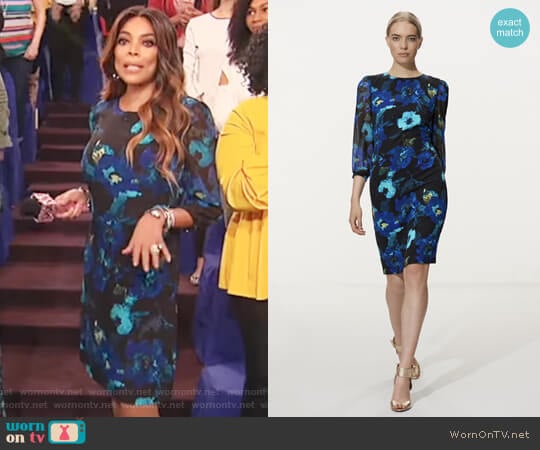 Karl Lagerfeld Paris Chiffon Dress worn by Wendy Williams on The Wendy Williams Show