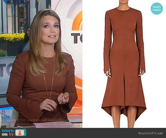 WornOnTV: Savannah’s brown asymmetric bell sleeve dress on Today ...
