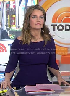 Savannah’s purple split sleeve dress on Today