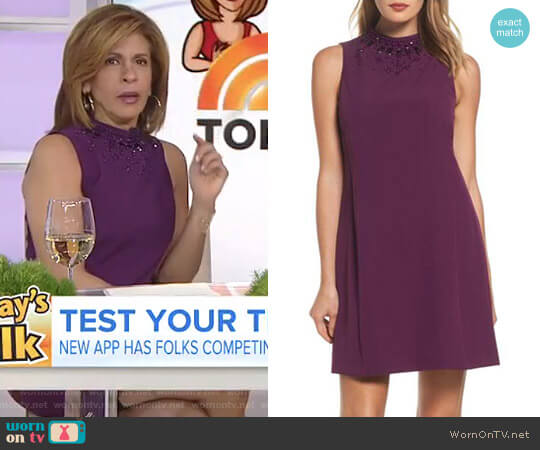 Beaded Trapeze Dress by Adrianna Papell worn by Hoda Kotb on Today