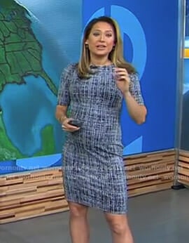Ginger’s printed maternity sheath dress on Good Morning America