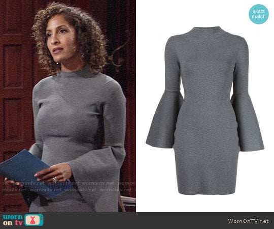 Milly Bell Sleeve Dress worn by Lily Winters (Christel Khalil) on The Young and the Restless