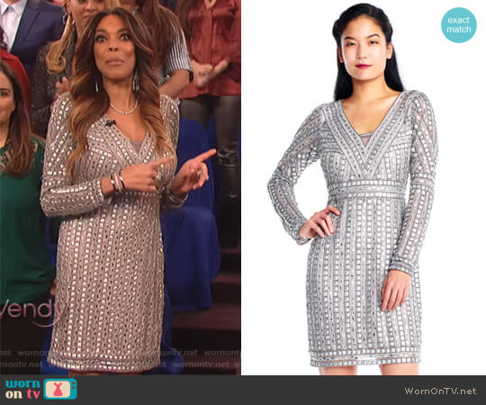 Stud Beaded Sheath Dress with Sheer Long Sleeves by Adrianna Papell worn by Wendy Williams  on The Wendy Williams Show