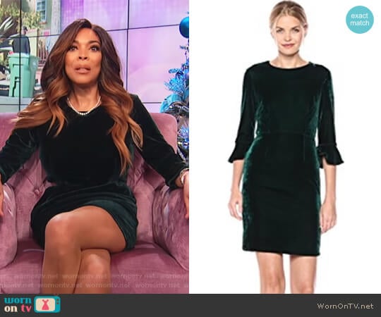 Green 3/4 Bell Velvet Sheath Dress by Donna Morgan worn by Wendy Williams on The Wendy Williams Show