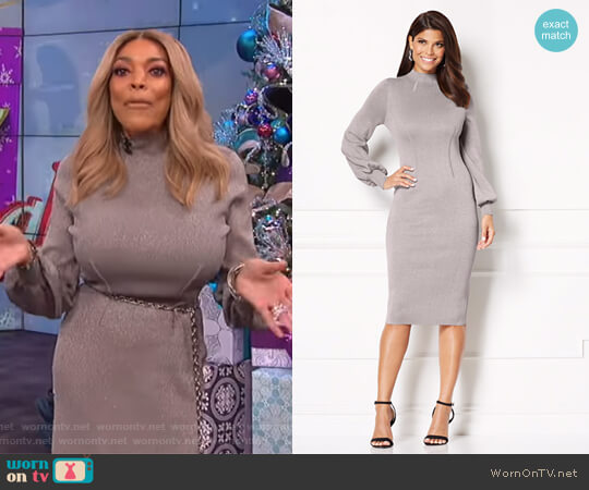 Catrina Metallic Sweater Dress by Eva Mendes Collection worn by Wendy Williams  on The Wendy Williams Show