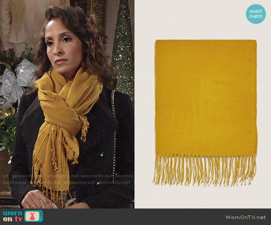 Zara Basic Scarf worn by Lily Winters (Christel Khalil) on The Young and the Restless