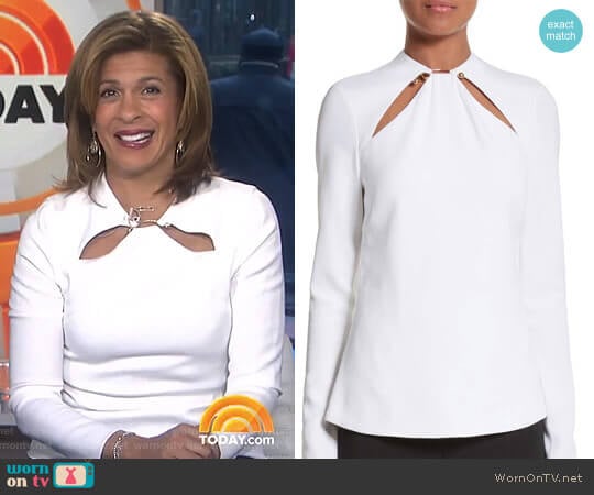 Ring Detail Cutout Stretch Crepe Blouse by Cushnie et Ochs worn by Hoda Kotb on Today