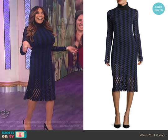 Turtleneck Long-Sleeve Knit Intarsia Midi Dress by Diane von Furstenberg worn by Wendy Williams on The Wendy Williams Show