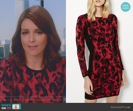 Leopard Pencil Dress by Karen Millen worn by Diana St. Tropez (Tina Fey) on Great News