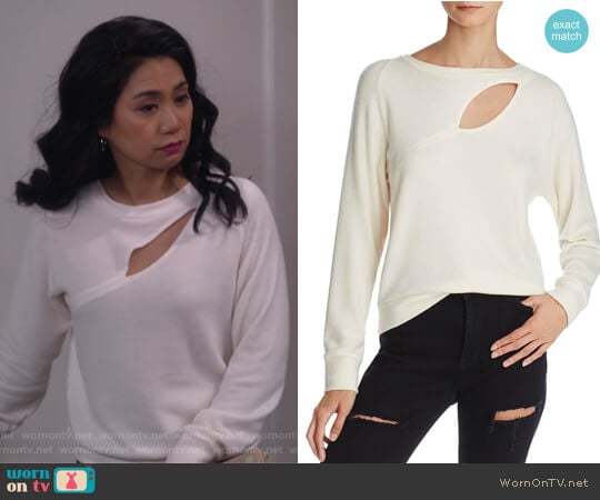 Phased Brushed Cutout Sweater by LNA worn by Eve Roberts (Liza Lapira) on 9JKL