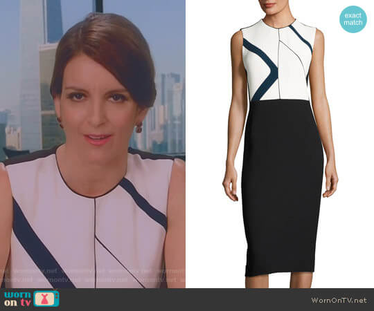 Graphic-Print Sleeveless Sheath Dress by Narciso Rodriguez worn by Diana St. Tropez (Tina Fey) on Great News