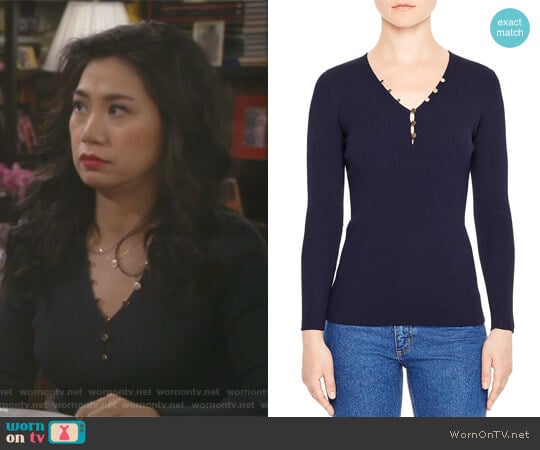 Olga V-Neck Sweater by Sandro worn by Eve Roberts (Liza Lapira) on 9JKL