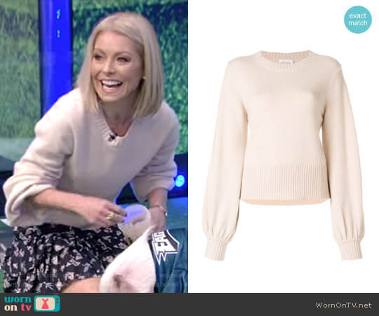 Bell Sleeved Sweater by Chloe worn by Kelly Ripa on Live with Kelly and Mark