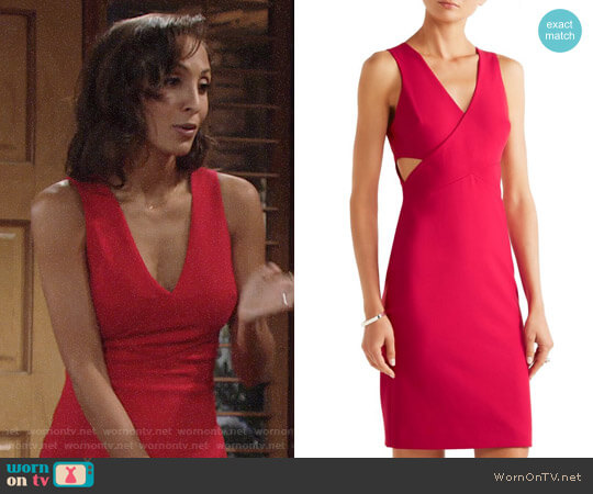 Elizabeth and James Aldridge Dress worn by Lily Winters (Christel Khalil) on The Young and the Restless