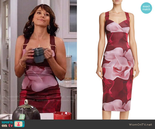 Ted Baker Mallie Porcelain Rose Dress worn by Rashida Jones on Black-ish