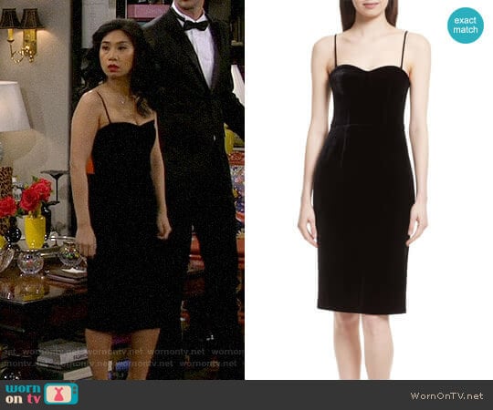 Luxe Velvet Corset Dress by Theory worn by Eve Roberts (Liza Lapira) on 9JKL