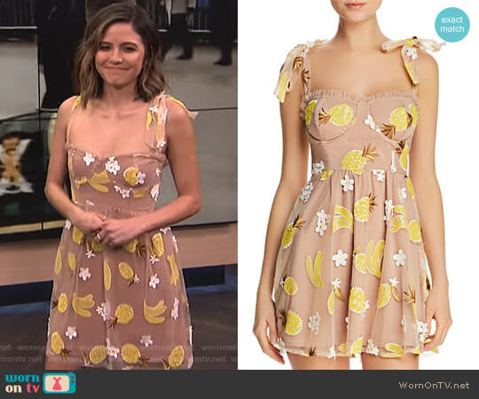 Embellished Mini Dress by For Love & Lemons worn by Erin Lim  on E! News