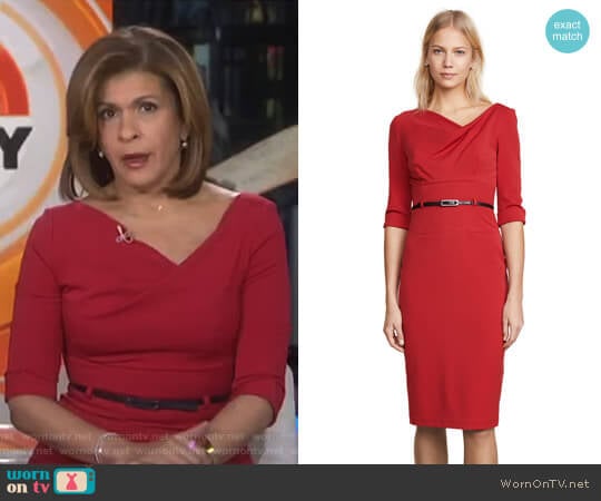 3/4 Sleeve Jackie O Dress by Black Halo worn by Hoda Kotb on Today