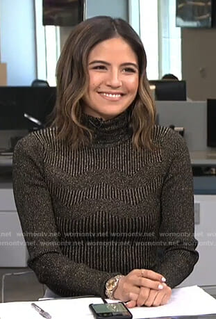 Erin’s metallic ribbed turtleneck sweater on Live from E!