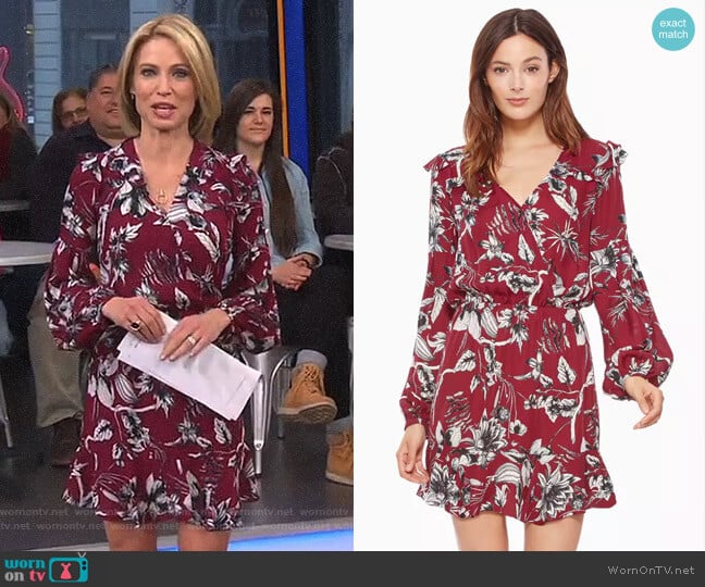 'Brita' Dress by Parker worn by Amy Robach on Good Morning America