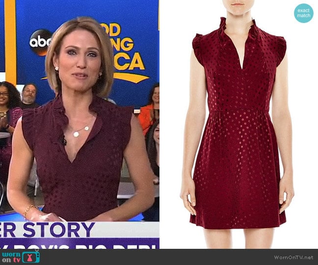 'Jasmine' Dot Print Dress by Sandro worn by Amy Robach on Good Morning America