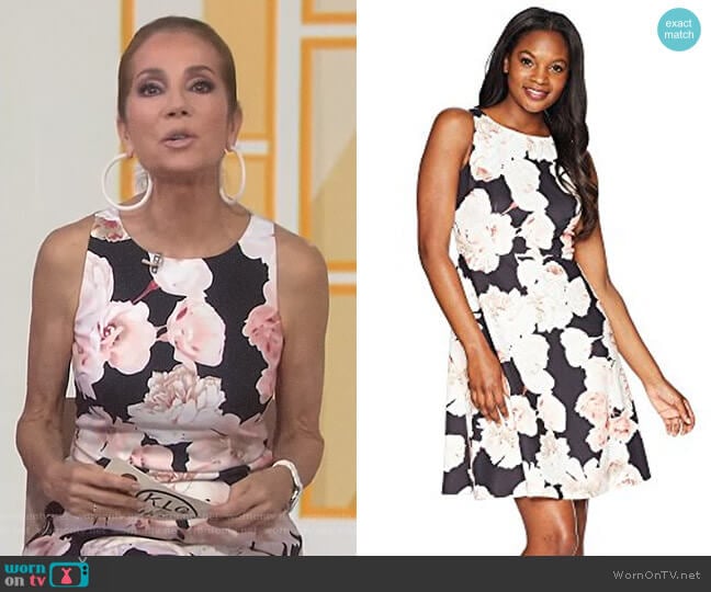 Fitted A-Line Sleeveless Dress by Adrianna Papell worn by Kathie Lee Gifford on Today