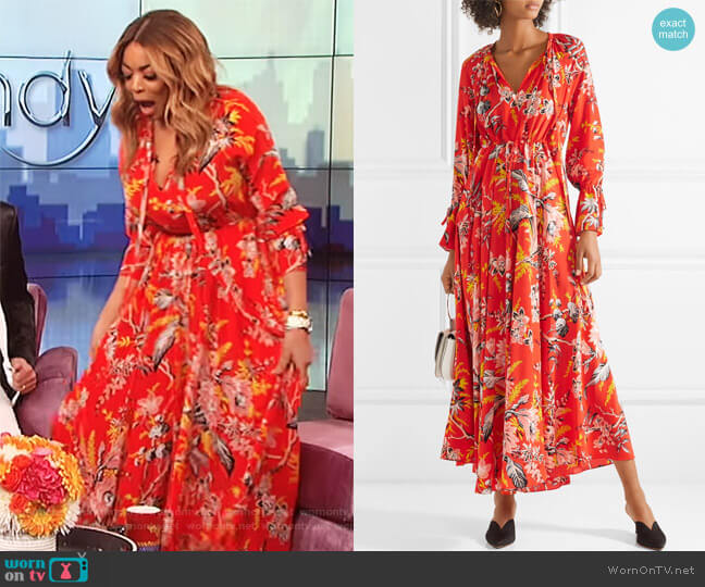 Bethany cinch sleeve maxi dress by Diane von Furstenberg worn by Wendy Williams on The Wendy Williams Show