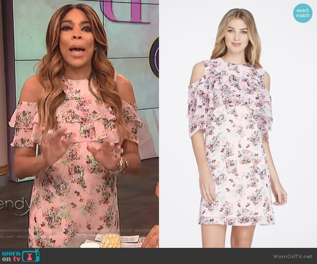 Ruffled Flounce Chiffon Shift Dress by Tahari ASL worn by Wendy Williams on The Wendy Williams Show