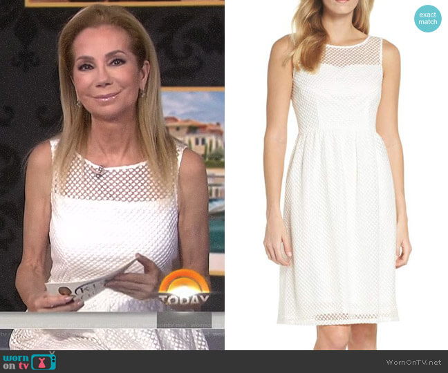 Embroidered Diamonds Fit & Flare Dress by Adrianna Papell worn by Kathie Lee Gifford on Today