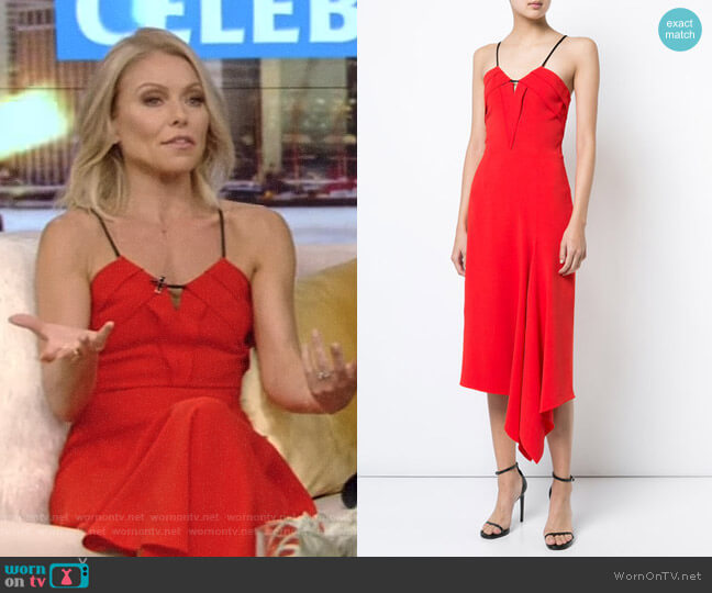 'Fazeley' Dress by Roland Mouret worn by Kelly Ripa on Live with Kelly and Ryan
