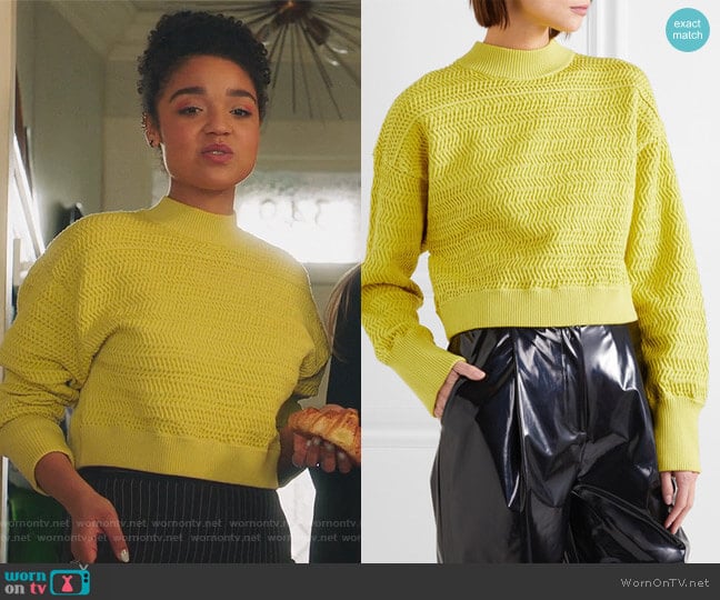 Cropped knitted sweater by Phillip Lim 3.1 worn by Kat Edison (Aisha Dee) on The Bold Type