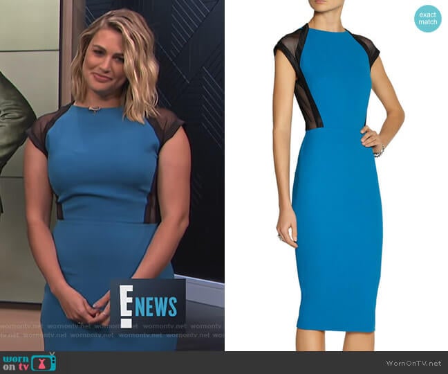 Mesh-Trimmed Dress by Victoria Beckham worn by Carissa Loethen Culiner on E! News