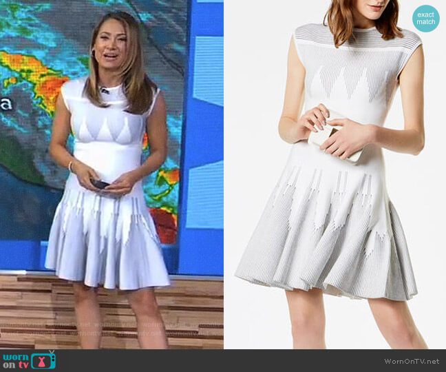 Zig Zag Knit Dress by Karen Millen worn by Ginger Zee on Good Morning America