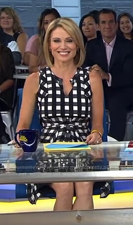 Amy’s gingham check shirtdress on Good Morning America