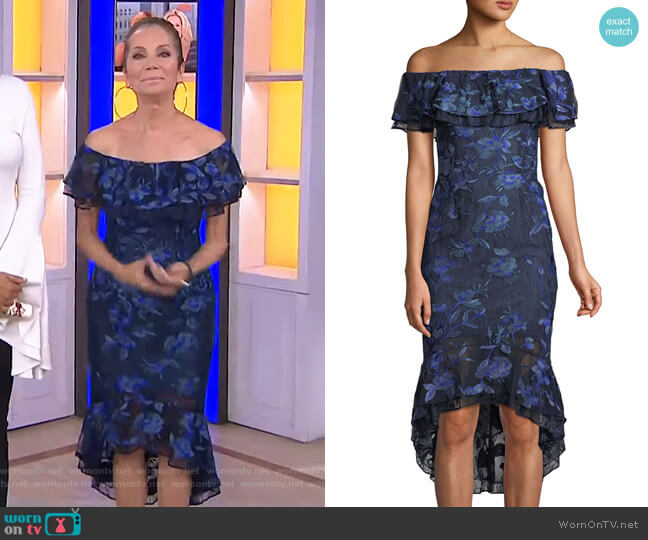 Floral-Embroidered Fitted Cocktail Dress by Aidan Mattox worn by Kathie Lee Gifford on Today