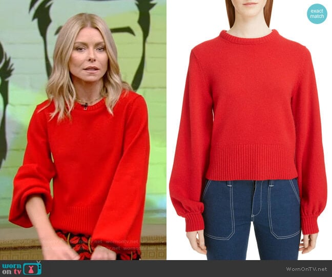 Iconic Sweater by Chloe worn by Kelly Ripa on Live with Kelly and Mark