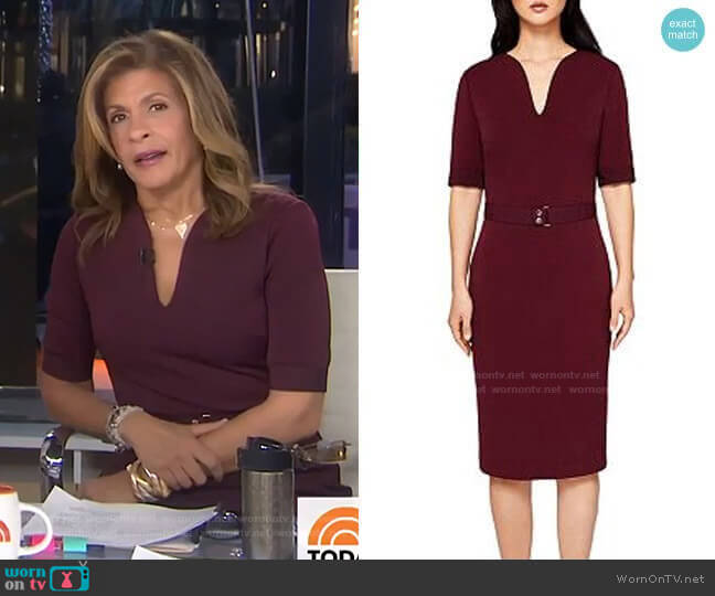 Jesabil Dress by Ted Baker worn by Hoda Kotb on Today