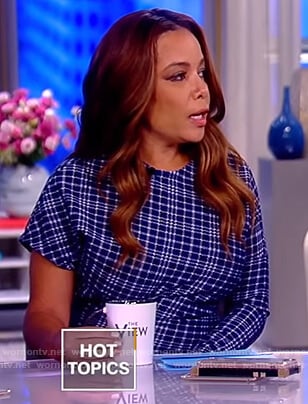 Sunny's blue checked single sleeve dress on The View