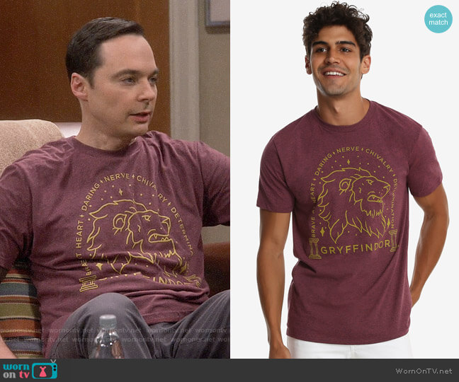 WornOnTV: Sheldon’s Gryffindor t-shirt on The Big Bang Theory | Jim ...