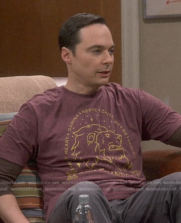 Sheldon's Gryffindor t-shirt on The Big Bang Theory