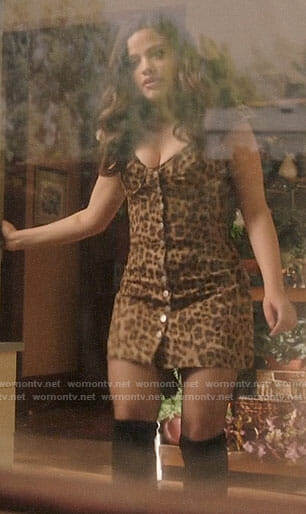 Maggie's leopard print dress on Charmed