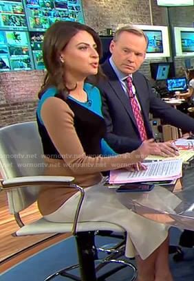 Bianna’s colorblock long sleeve dress on CBS This Morning