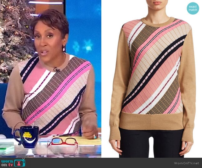 Diagonal Stripe Wool Sweater by Victoria Beckham worn by Robin Roberts  on Good Morning America