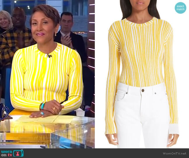 Stripe Rib Knit Sweater by Calvin Klein 205W39NYC worn by Robin Roberts on Good Morning America