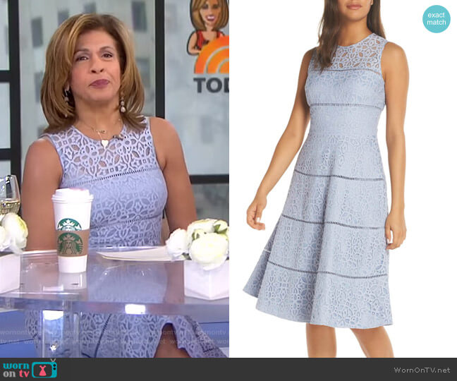 Lace Fit & Flare Dress by Eliza J worn by Hoda Kotb on Today