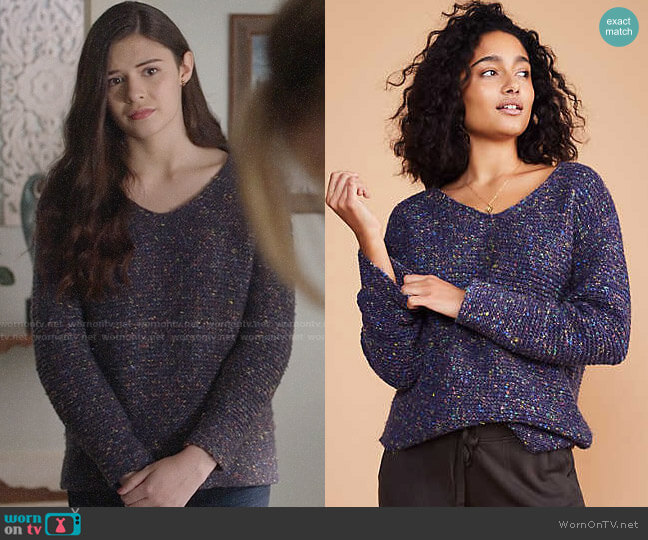 Loft Lou & Grey Flecked V-neck Sweater worn by Nia Nal (Nicole Maines) on Supergirl